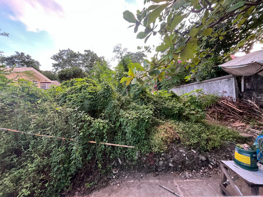 Vacant lot in Merville Park (Executive Area), Parañaque
