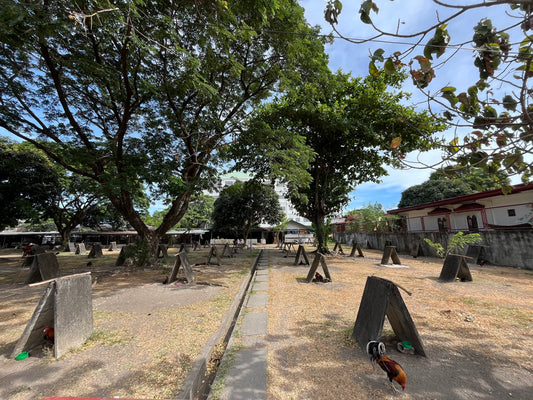 Big Vacant lot in Merville Park (Executive Area), Parañaque