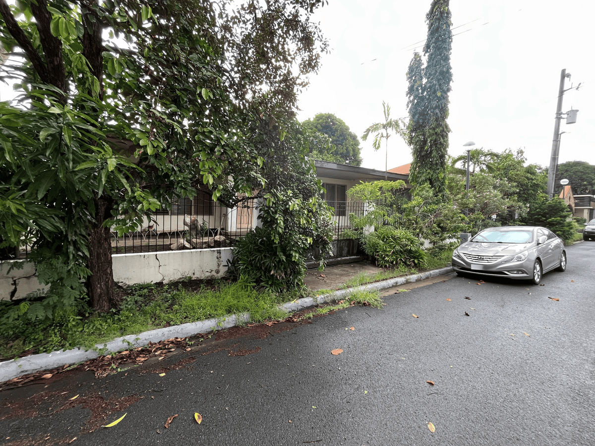 Big Property in Merville Park (Executive Area), Parañaque